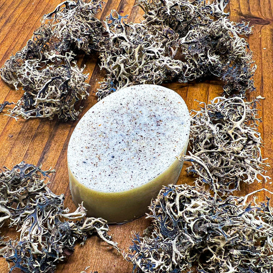 Oakmoss Lotion Bar