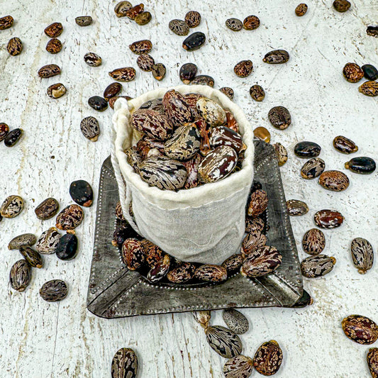 Organic Castor Seeds For Planting (50)