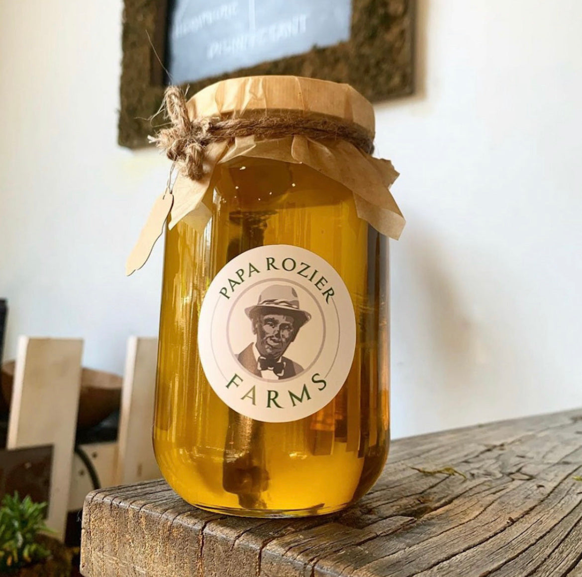 Moringa Oil of Haiti