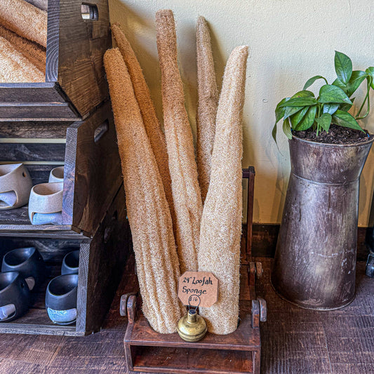 Natural Loofah Sponge