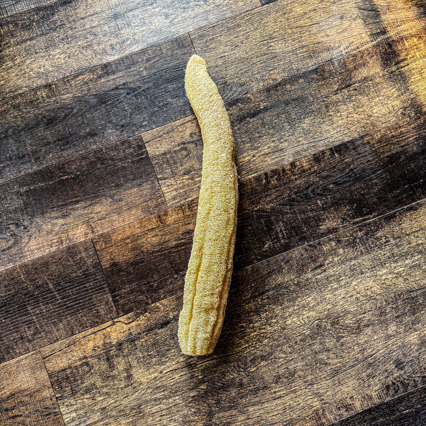 Natural Loofah Sponge