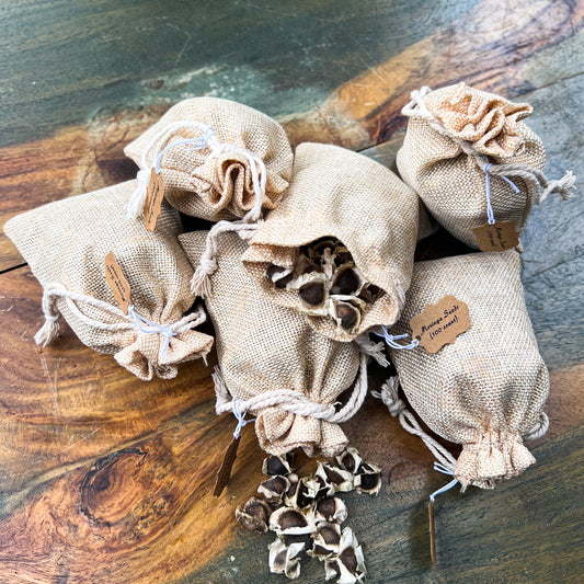 Organic Moringa Seeds (100)